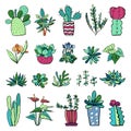 Houseplants and cactuses in flowerpots. Vector hand drawn outline color sketch illustration